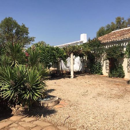 Casa Rural La Navarra Villarrobledo Eksteriør bilde