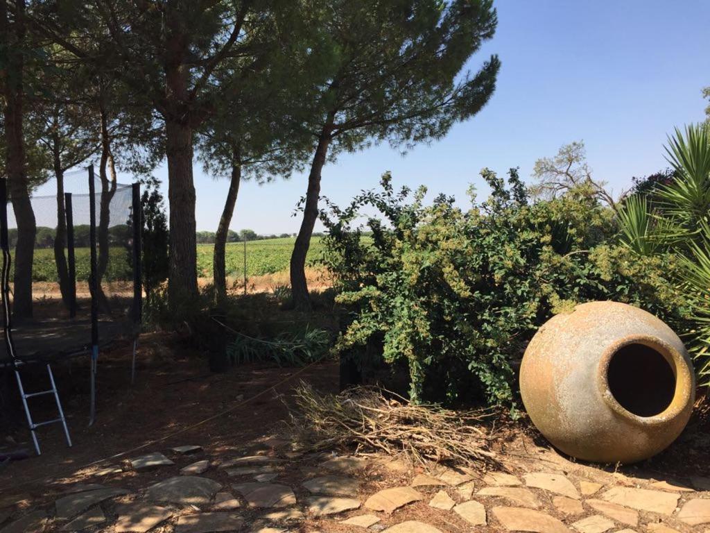 Casa Rural La Navarra Villarrobledo Eksteriør bilde