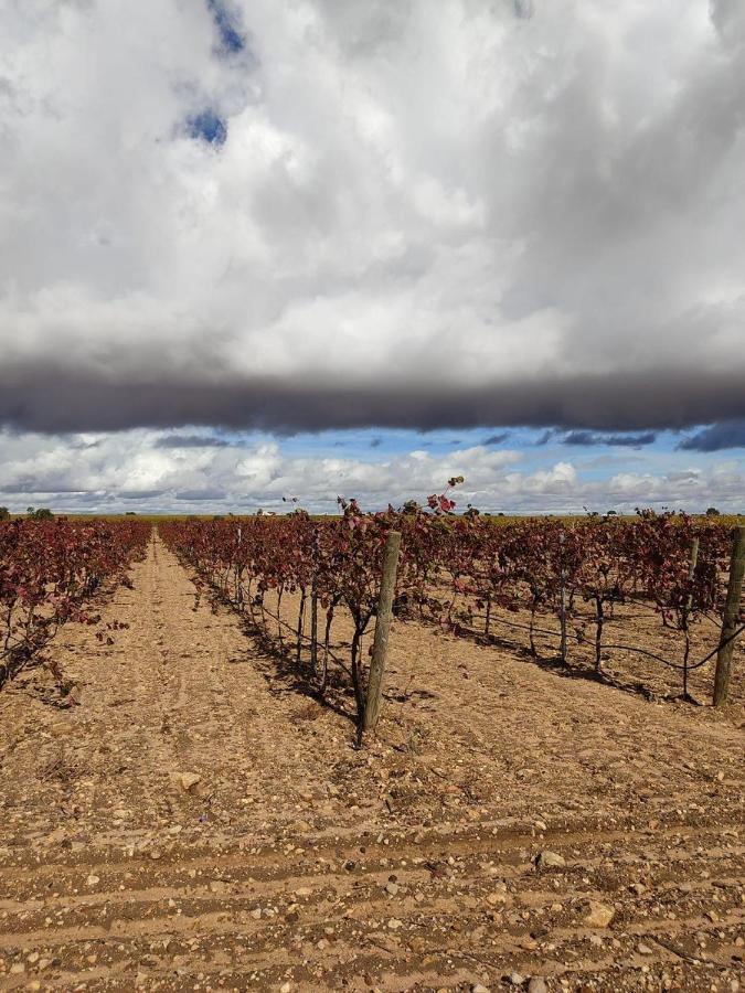 Casa Rural La Navarra Villarrobledo Eksteriør bilde