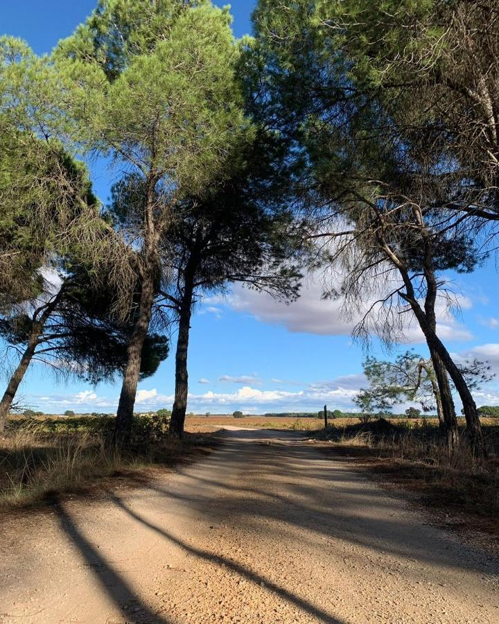 Casa Rural La Navarra Villarrobledo Eksteriør bilde
