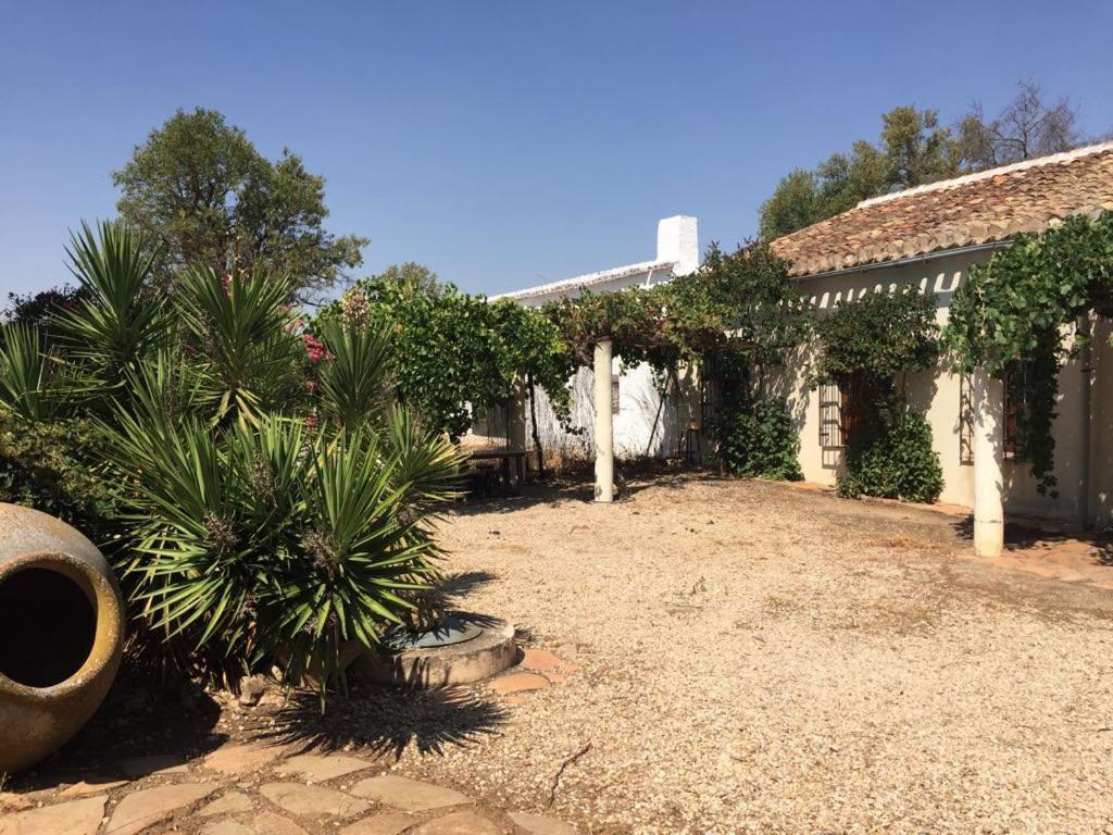 Casa Rural La Navarra Villarrobledo Eksteriør bilde
