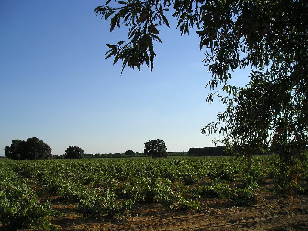Casa Rural La Navarra Villarrobledo Eksteriør bilde
